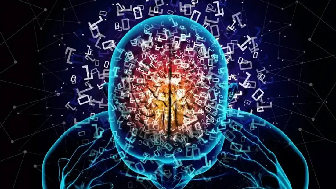 Bilim Dünyası Açıkladı: Beynimiz Gençlikte Değil, Bu Yaşta Zirveye Ulaşıyor!