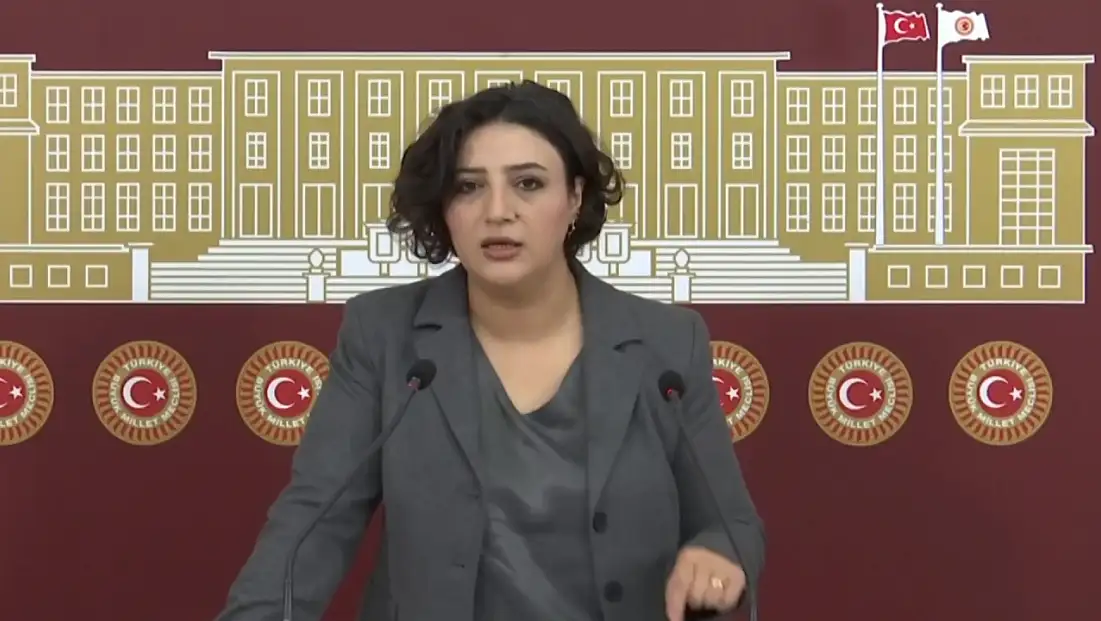 DEM Partili Sarıtaş, Siirt’in Kronikleşen Sorunlarını Meclis Gündemine Taşıdı