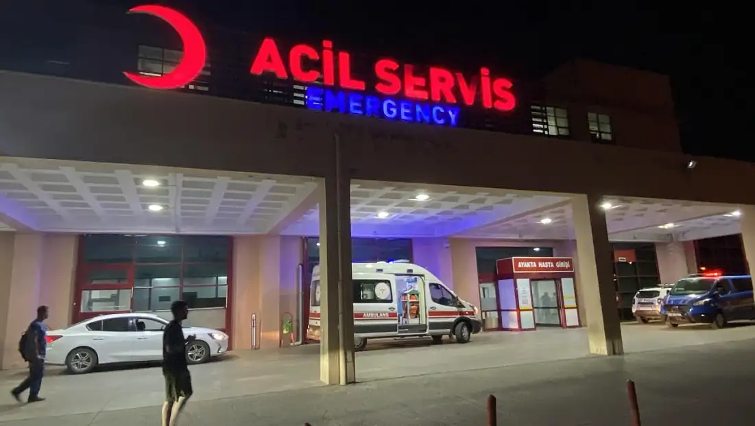 Diyarbakır’da Feci Kaza: İki Otomobil ile At Çarpıştı – 1 Ölü, 7 Yaralı