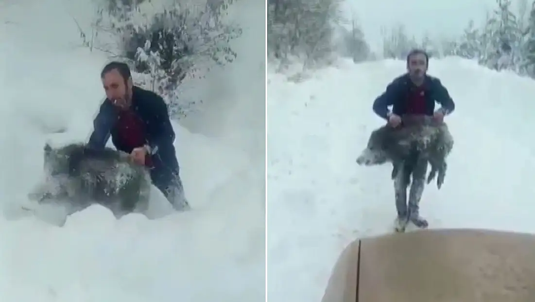 Eliyle domuz yakalayan kişiye 15 bin TL ceza kesildi