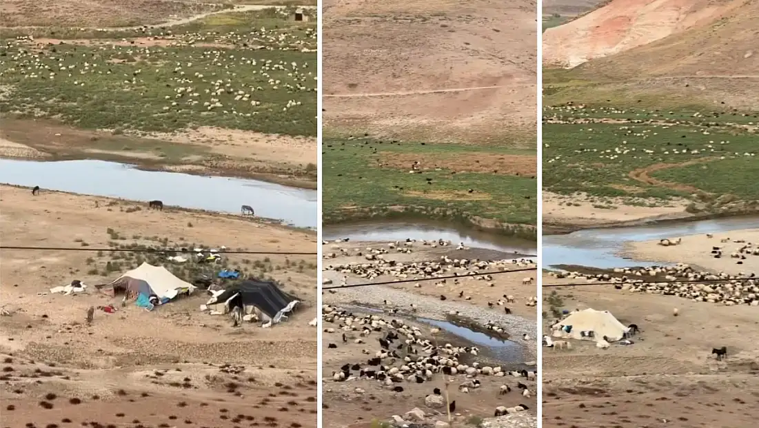 Göçerler Binlerce Koyunla Siirt’e Ulaştı: Başur Çayı Kenarında Konakladılar