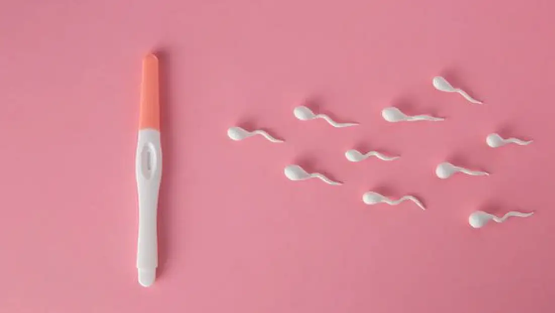 Kadınlar Sosyal Medyada Sperm Arıyor! ''Sanal Bağış'' Trendi Tıp Dünyasında Alarm Zillerini Çaldı