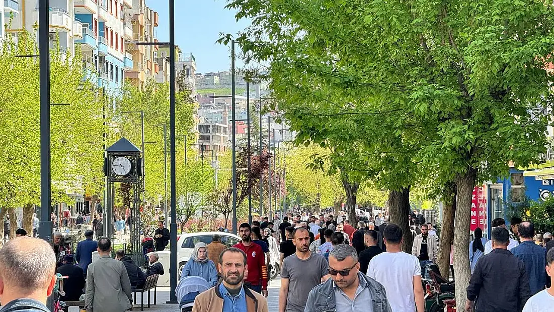 Kamuya 3731 memur alımı yapılacak Siirt’e sadece 12 kadro ayrıldı! Siirt kamu alımlarında yine geride kaldı