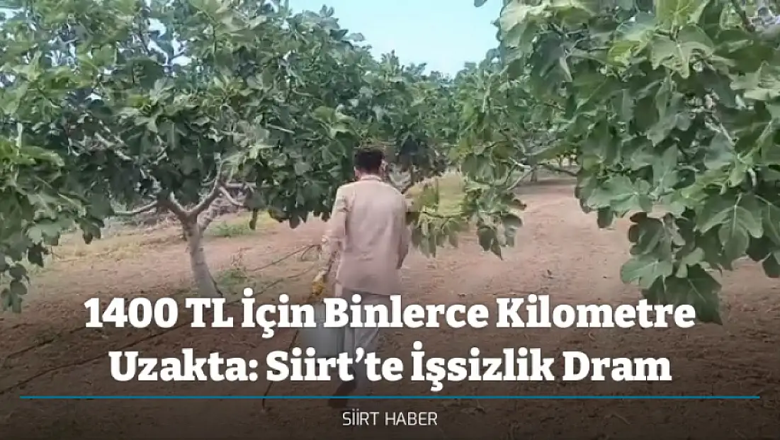 1400 TL İçin Binlerce Kilometre Uzakta: Siirt’te İşsizlik Dram