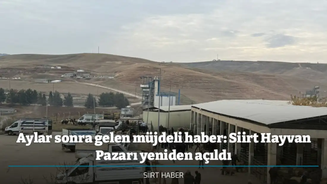 Aylar sonra gelen müjdeli haber: Siirt Hayvan Pazarı yeniden açıldı