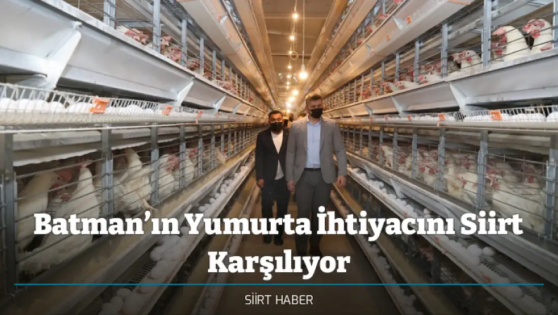 Batman’ın Yumurta İhtiyacını Siirt Karşılıyor