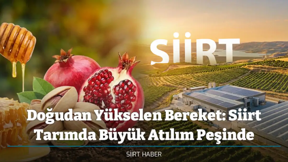 Doğudan Yükselen Bereket: Siirt Tarımda Büyük Atılım Peşinde