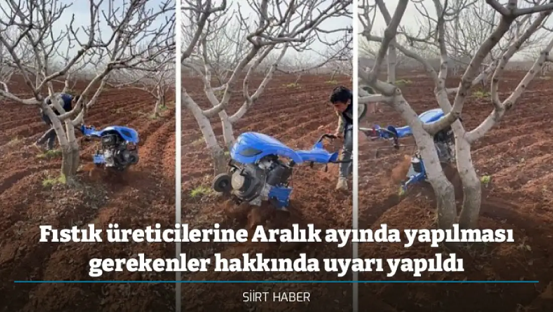 Fıstık üreticilerine Aralık ayında yapılması gerekenler hakkında uyarı yapıldı