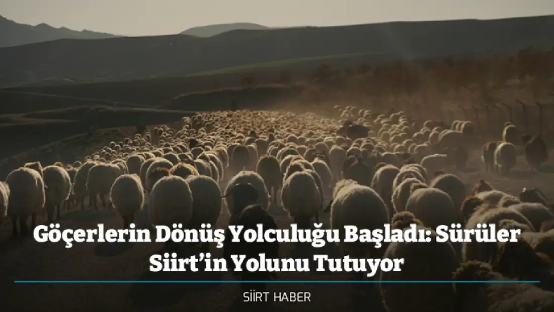 Göçerlerin Dönüş Yolculuğu Başladı: Sürüler Siirt’in Yolunu Tutuyor
