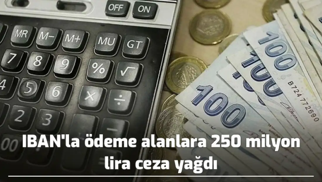 IBAN'la ödeme alanlara 250 milyon lira ceza yağdı