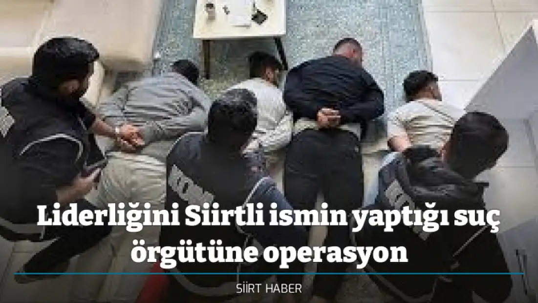 Liderliğini Siirtli ismin yaptığı suç örgütüne operasyon