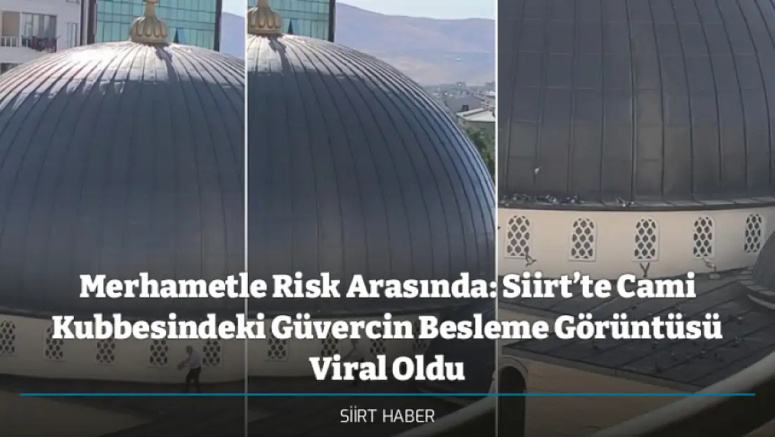 Merhametle Risk Arasında: Siirt’te Cami Kubbesindeki Güvercin Besleme Görüntüsü Viral Oldu