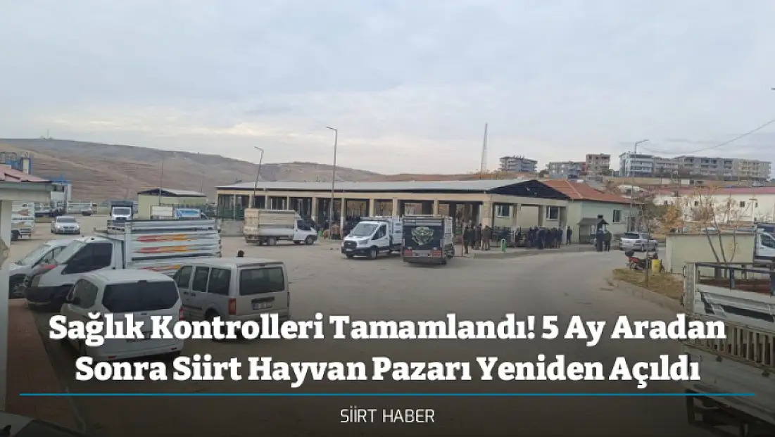 Sağlık Kontrolleri Tamamlandı! 5 Ay Aradan Sonra Siirt Hayvan Pazarı Yeniden Açıldı