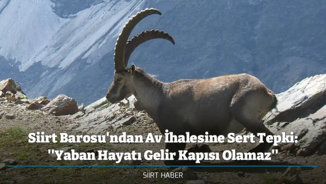 Siirt Barosu'ndan Av İhalesine Sert Tepki: ''Yaban Hayatı Gelir Kapısı Olamaz''