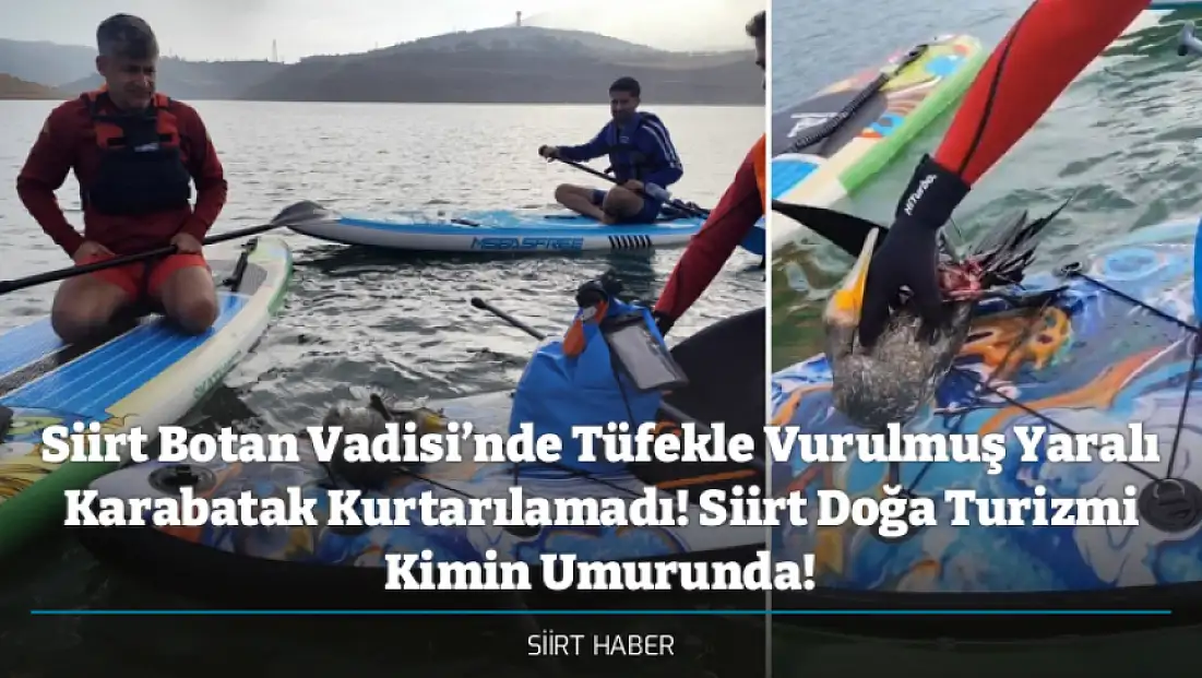 Siirt Botan Vadisi’nde Tüfekle Vurulmuş Yaralı Karabatak Kurtarılamadı! Siirt Doğa Turizmi Kimin Umurunda!
