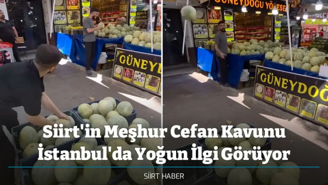 Siirt'in Meşhur Cefan Kavunu İstanbul'da Yoğun İlgi Görüyor