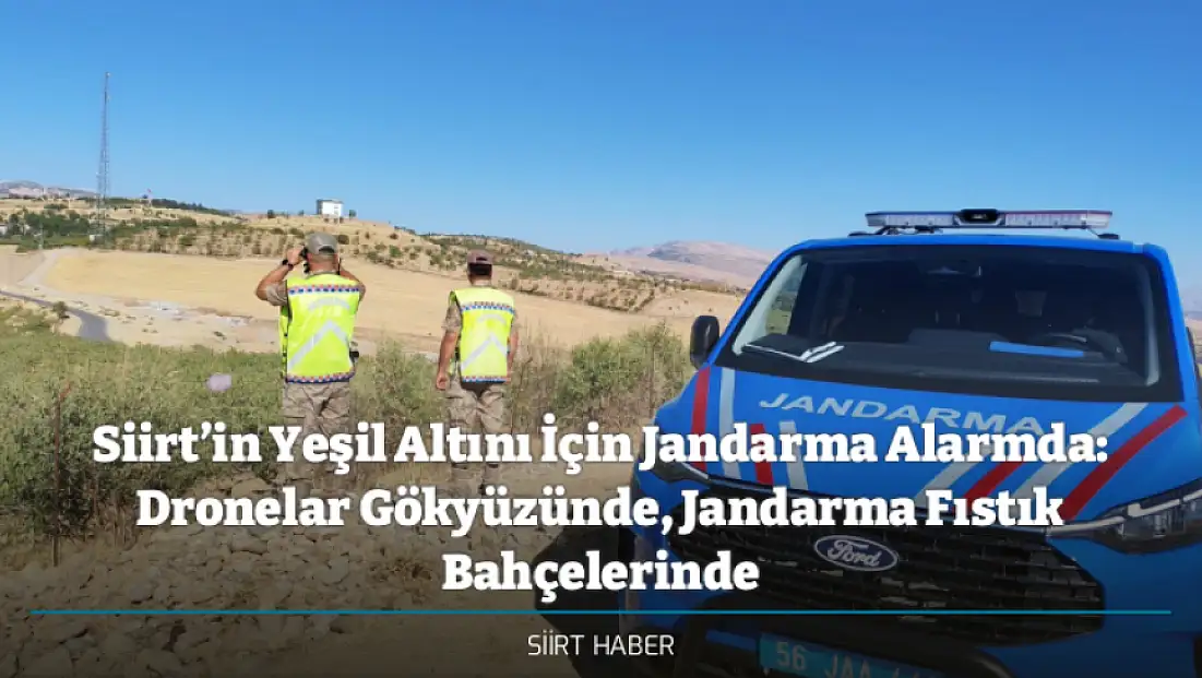 Siirt’in Yeşil Altını İçin Jandarma Alarmda: Dronelar Gökyüzünde, Jandarma Fıstık Bahçelerinde