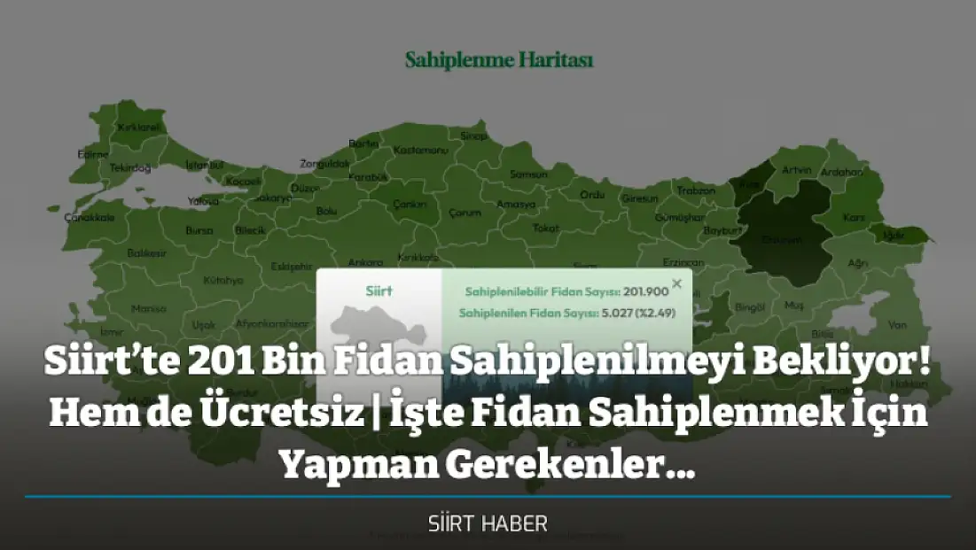 Siirt’te 201 Bin Fidan Sahiplenilmeyi Bekliyor! Hem de Ücretsiz | İşte Fidan Sahiplenmek İçin Yapman Gerekenler...