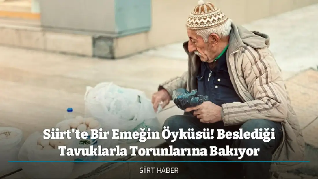 Siirt'te Bir Emeğin Öyküsü! Beslediği Tavuklarla Torunlarına Bakıyor