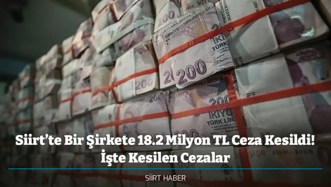 Siirt’te Bir Şirkete 18.2 Milyon TL Ceza Kesildi! İşte Kesilen Cezalar