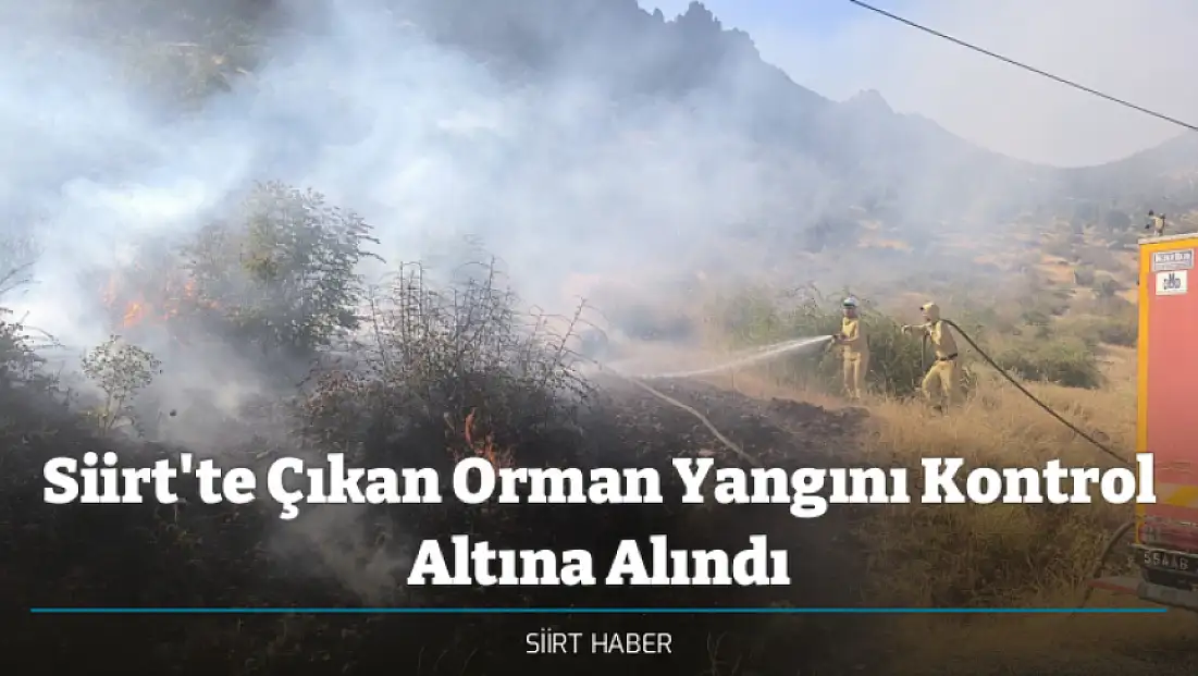 Siirt'te Çıkan Orman Yangını Kontrol Altına Alındı