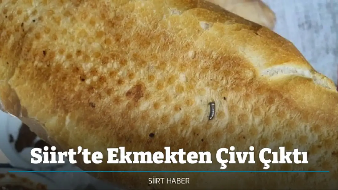 Siirt’te Ekmekten Çivi Çıktı