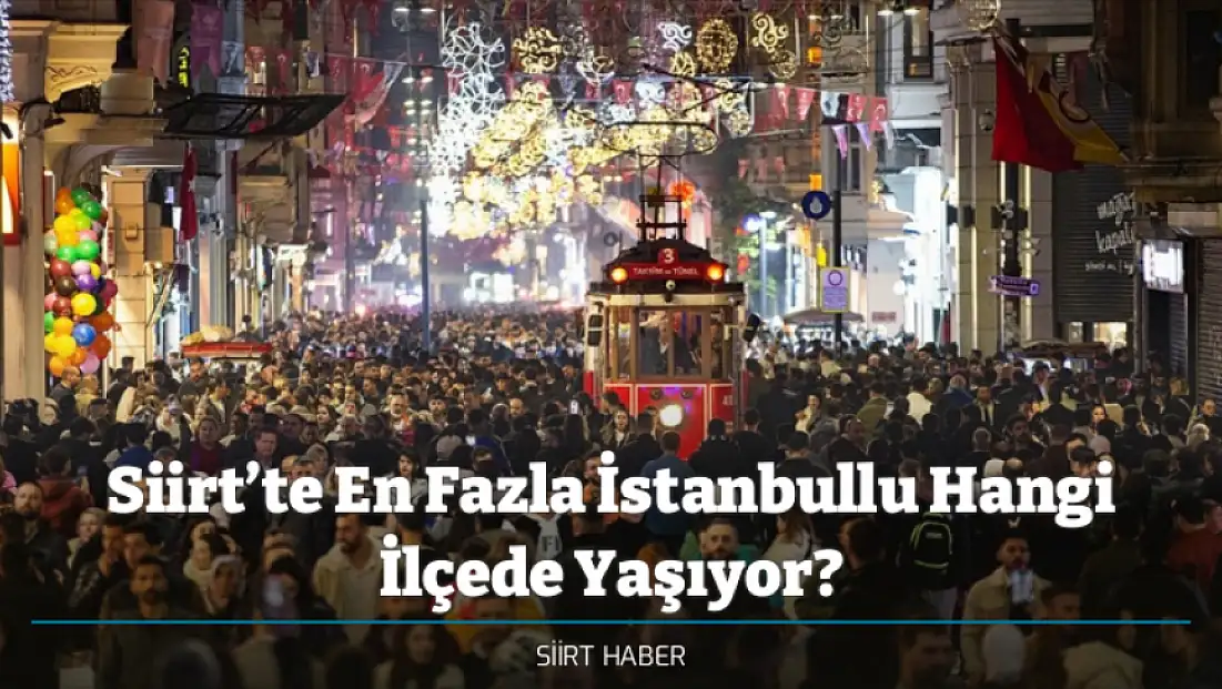 Siirt’te En Fazla İstanbullu Hangi İlçede Yaşıyor?