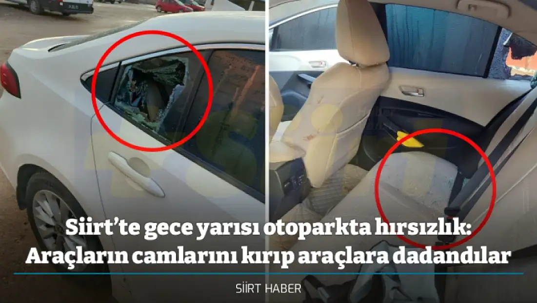 Siirt’te gece yarısı otoparkta hırsızlık: Araçların camlarını kırıp araçlara dadandılar
