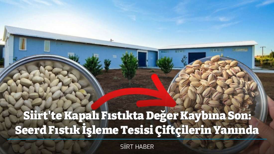 Siirt'te Kapalı Fıstıkta Değer Kaybına Son: Seerd Fıstık İşleme Tesisi Çiftçilerin Yanında