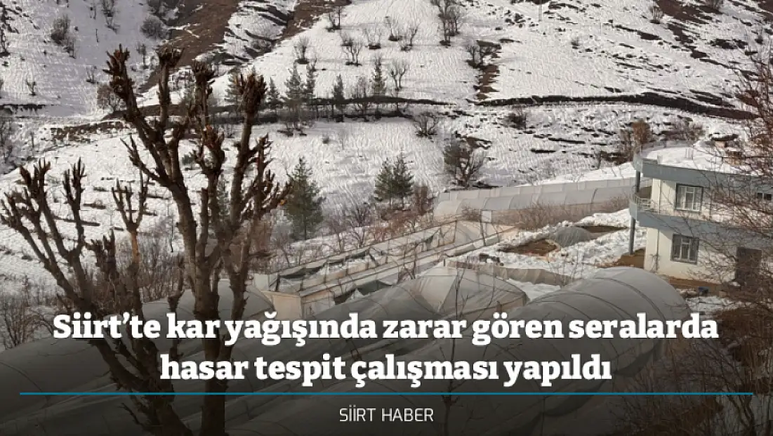 Siirt’te kar yağışında zarar gören seralarda hasar tespit çalışması yapıldı