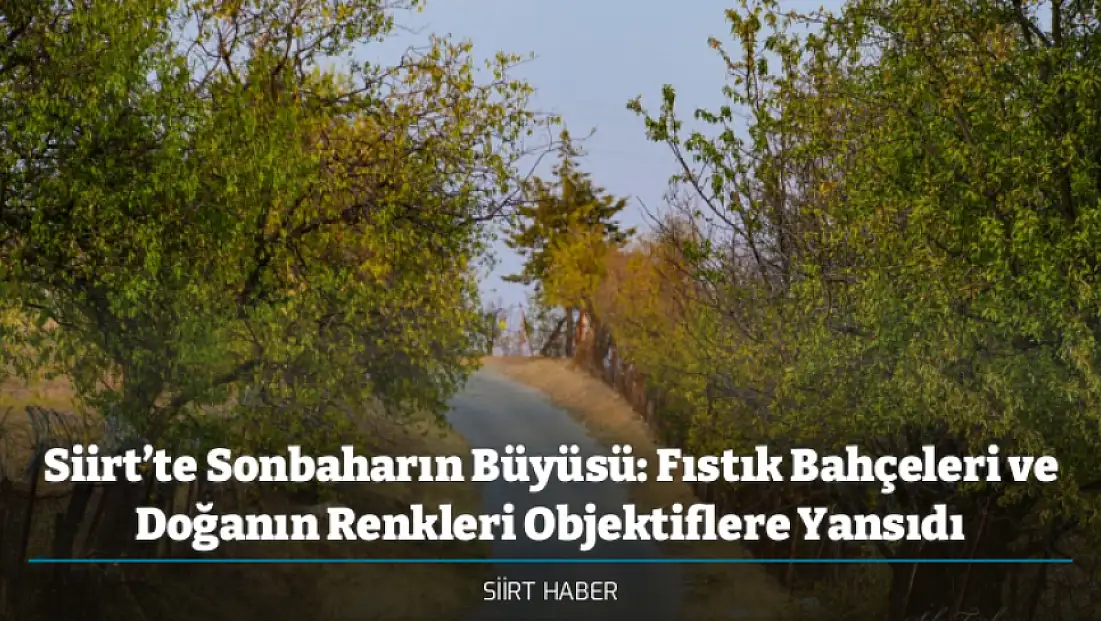 Siirt’te Sonbaharın Büyüsü: Fıstık Bahçeleri ve Doğanın Renkleri Objektiflere Yansıdı