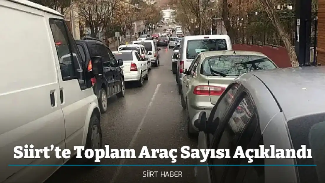 Siirt’te Toplam Araç Sayısı Açıklandı