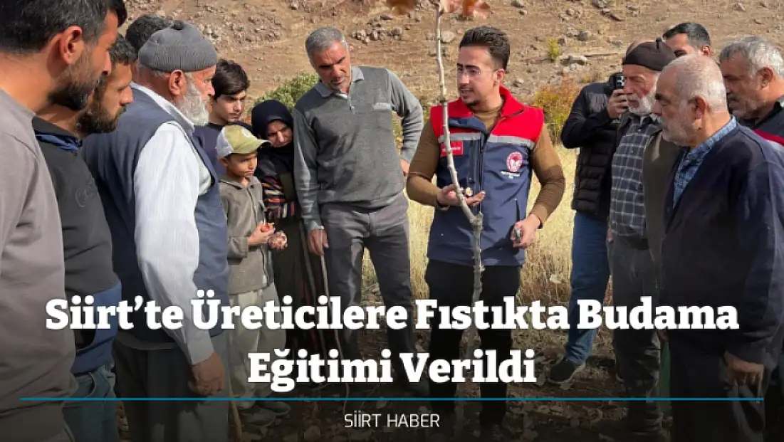 Siirt’te Üreticilere Fıstıkta Budama Eğitimi Verildi