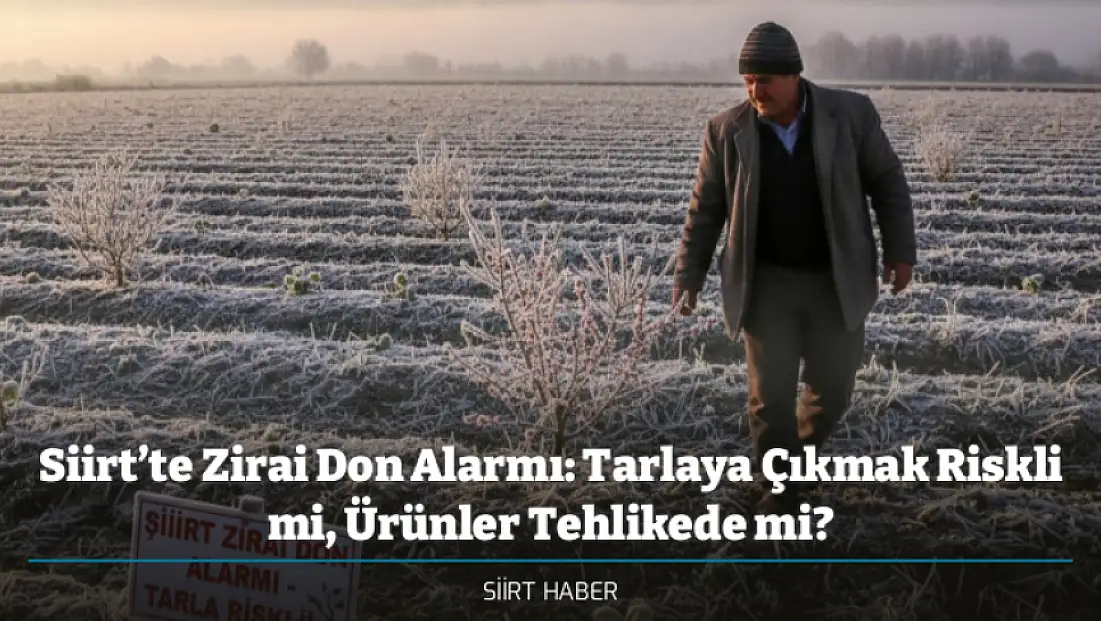Siirt’te Zirai Don Alarmı: Tarlaya Çıkmak Riskli mi, Ürünler Tehlikede mi?