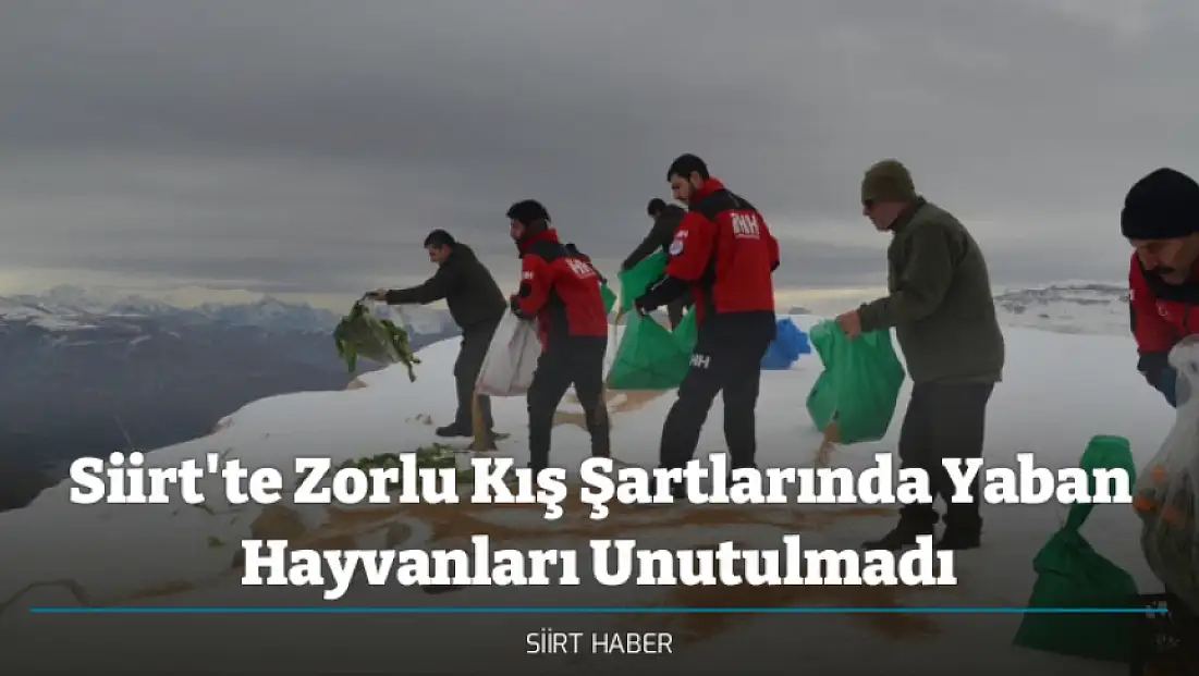 Siirt'te Zorlu Kış Şartlarında Yaban Hayvanları Unutulmadı