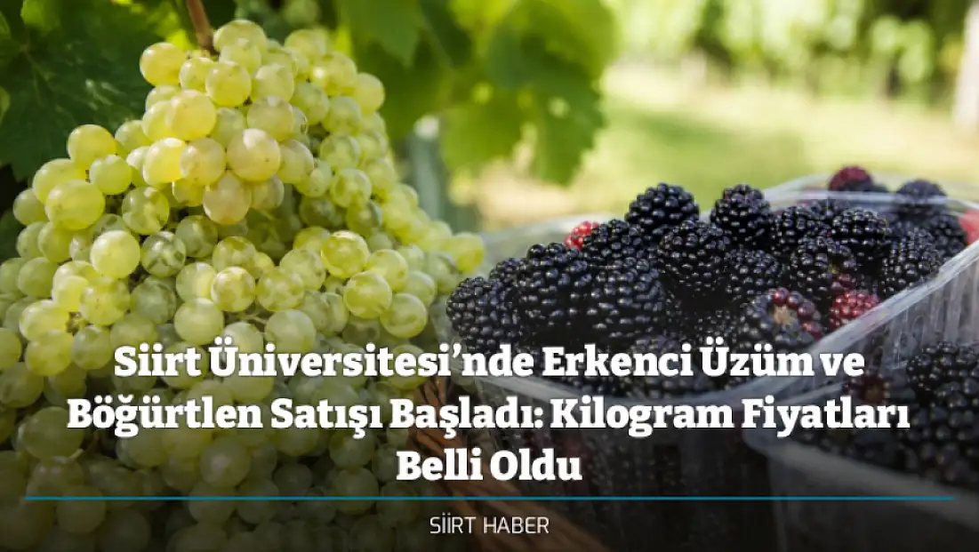 Siirt Üniversitesi’nde Erkenci Üzüm ve Böğürtlen Satışı Başladı: Kilogram Fiyatları Belli Oldu