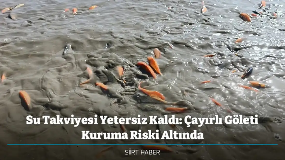 Su Takviyesi Yetersiz Kaldı: Çayırlı Göleti Kuruma Riski Altında