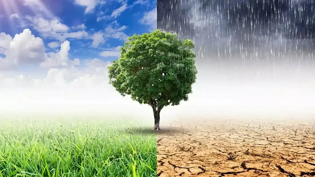 Ocak yağışları rahat nefes aldırdı: Türkiye genelinde kuraklık alarmı kapandı