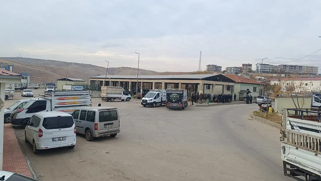Sağlık Kontrolleri Tamamlanan Siirt Hayvan Pazarı 5 Ay Aradan Sonra Yeniden Açıldı!