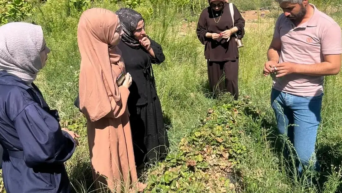 Siirt Şirvan’da Kadın Üreticilere Teknik Gezi
