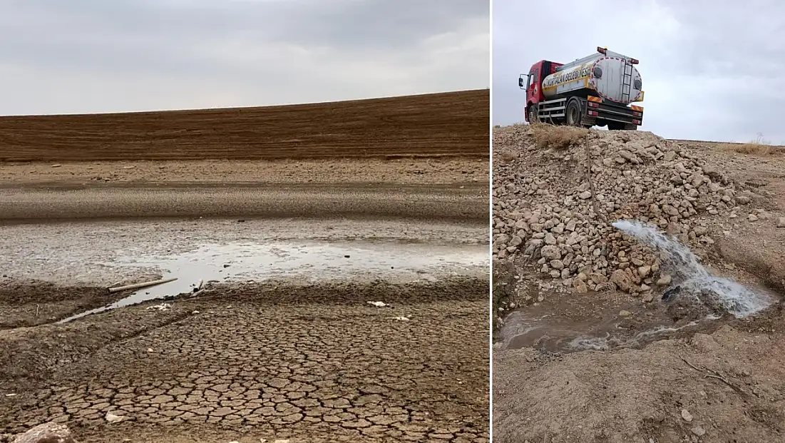 Siirt’te Balıklar Ölümle Burun Buruna: Gölete 80 Ton Su Takviyesi Yapıldı