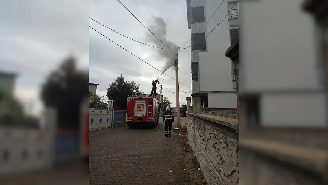 Siirt’te Elektrik Direği Alev Aldı: İtfaiye Ekipleri Yangını Kısa Sürede Söndürdü