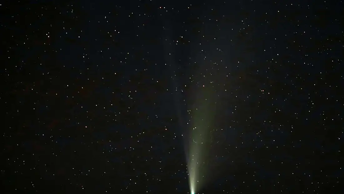 Siirt’te görüntülendi: 1.350 yıl aradan sonra ilk kez