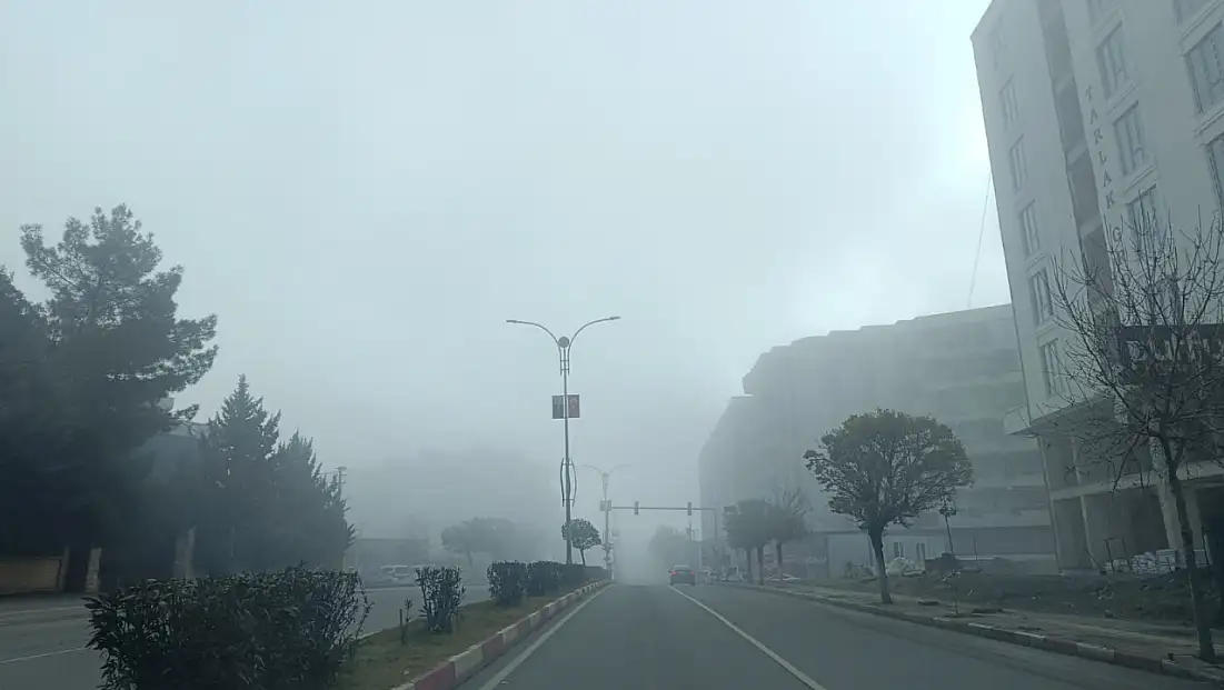 Siirt’te sis etkili oluyor! Görüş mesafesi 50 metreye düştü