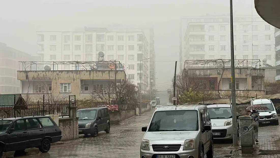 Siirt’te sis ve sağanak yağış etkili oldu