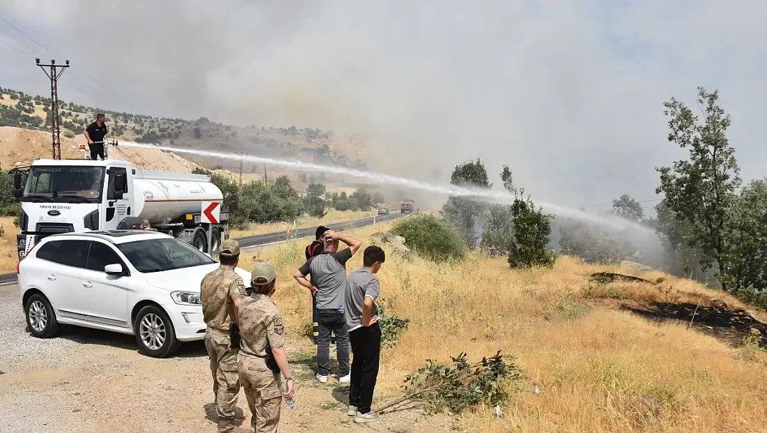 Şırnak-Siirt Kara Yolunda Orman Yangını Kontrol Altına Alındı