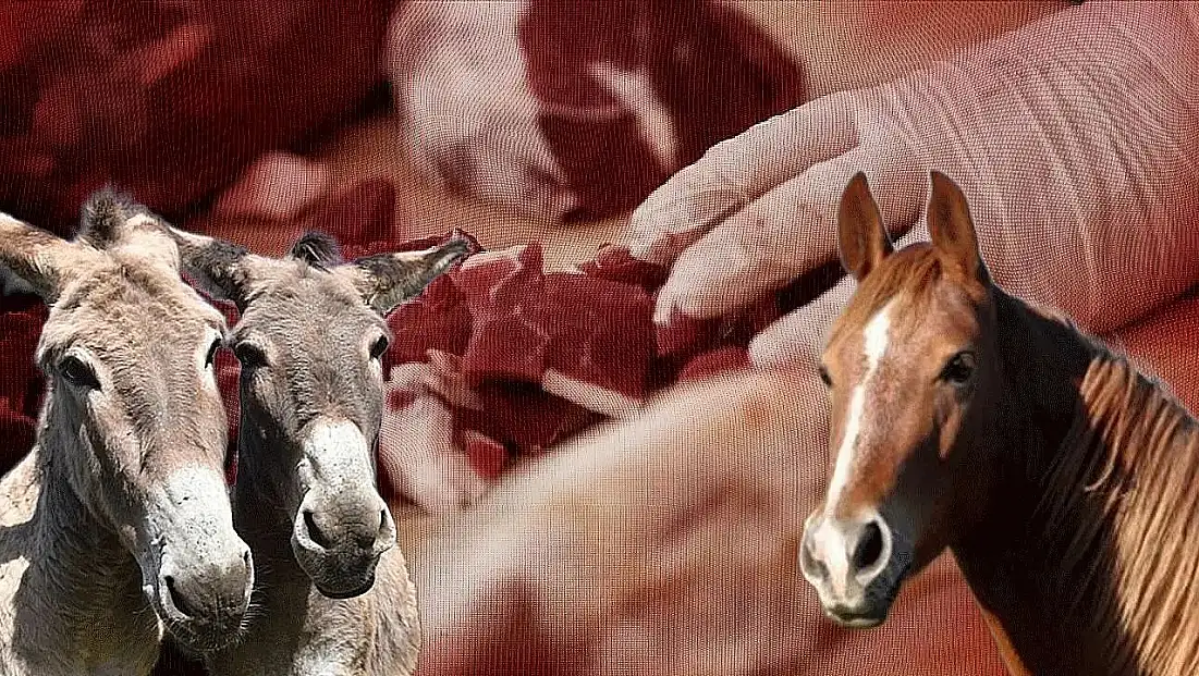Tarım ve Orman Bakanlığı Yeni Listeyi Açıkladı: At ve Eşek Eti Tespit Edilen Firmalar İfşa Edildi