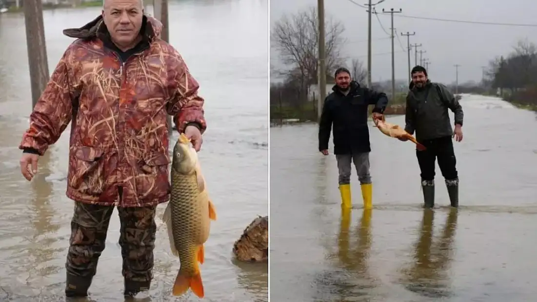 Tarlanın ortasından çıktı, tartıda 7 kilo geldi