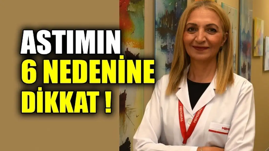 Astımın 6 Nedenine Dikkat!