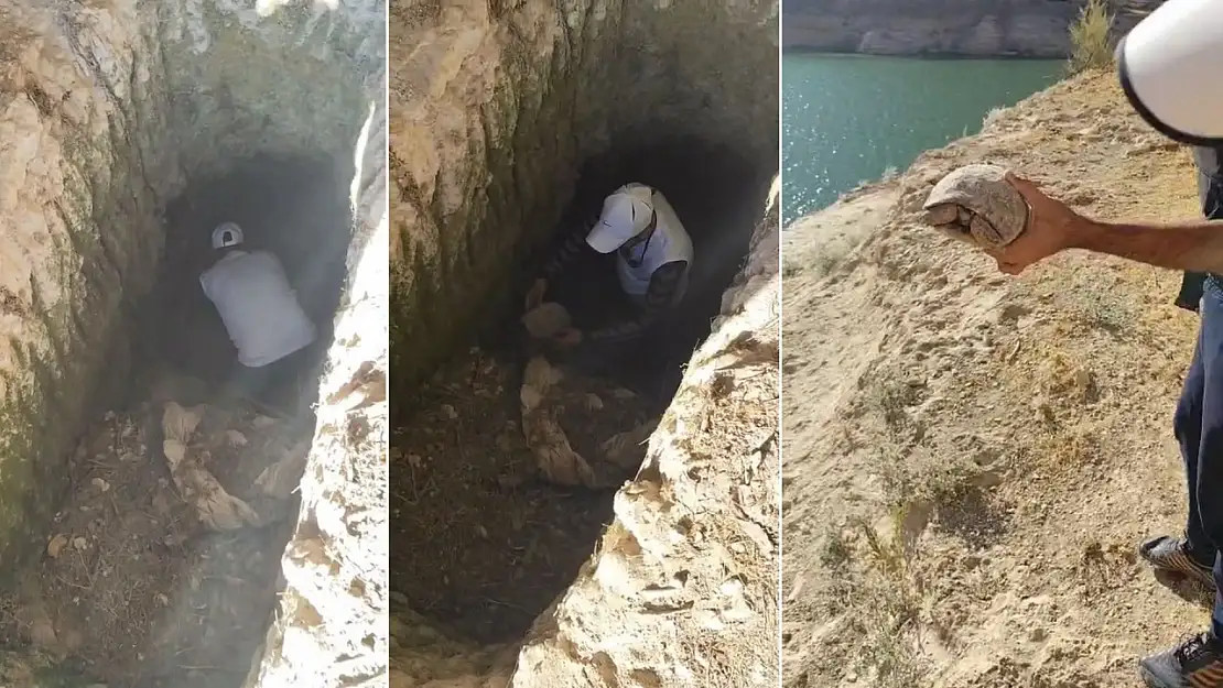 Botan Vadisi'nde Mağaraya Düşen Kaplumbağa Kurtarıldı
